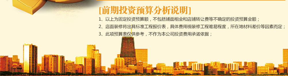 前期投資預(yù)算分析說明